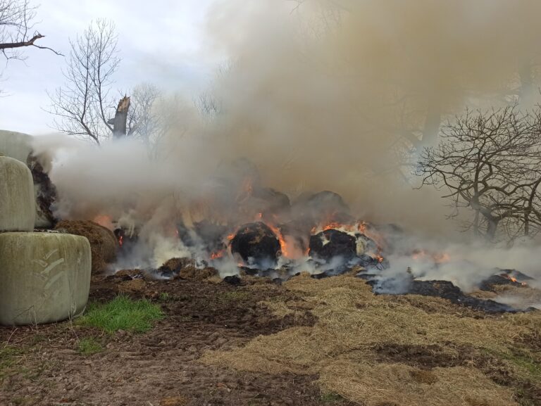 Hasselt: Heuballen gehen in Flammen auf