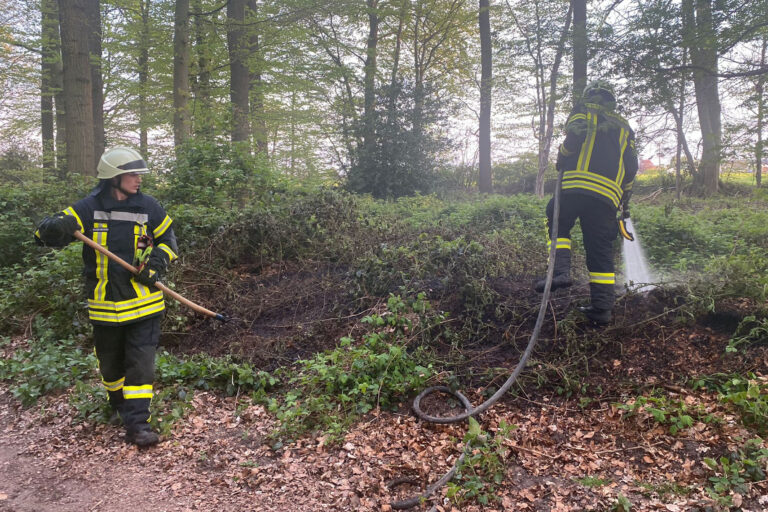 Pfalzdorf: Erneut Feuer in Waldstück